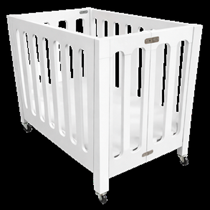 Guest Folding Cot